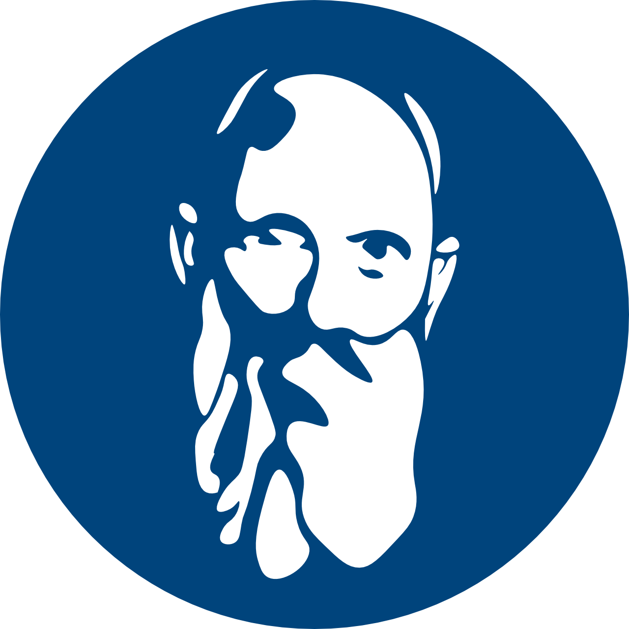 Robert-Bosch-Gymnasium Langenau